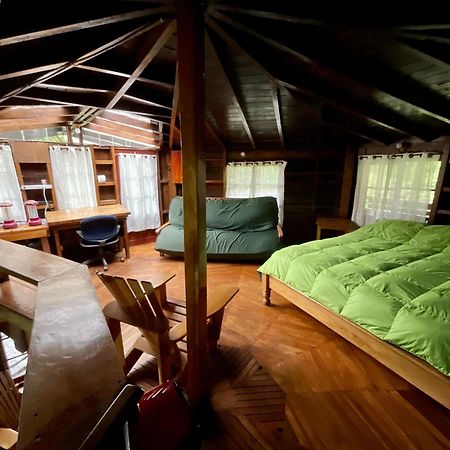 Los Quetzales Ecolodge & Spa Cerro Punta Eksteriør bilde