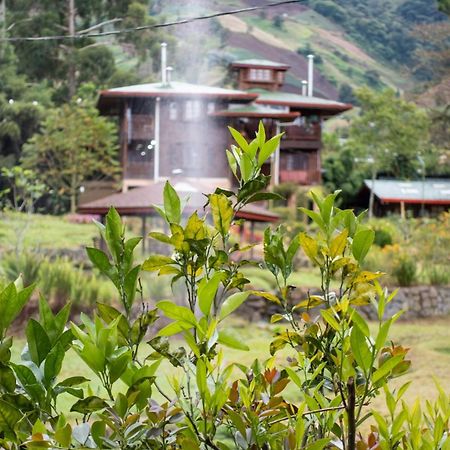 Los Quetzales Ecolodge & Spa Cerro Punta Eksteriør bilde