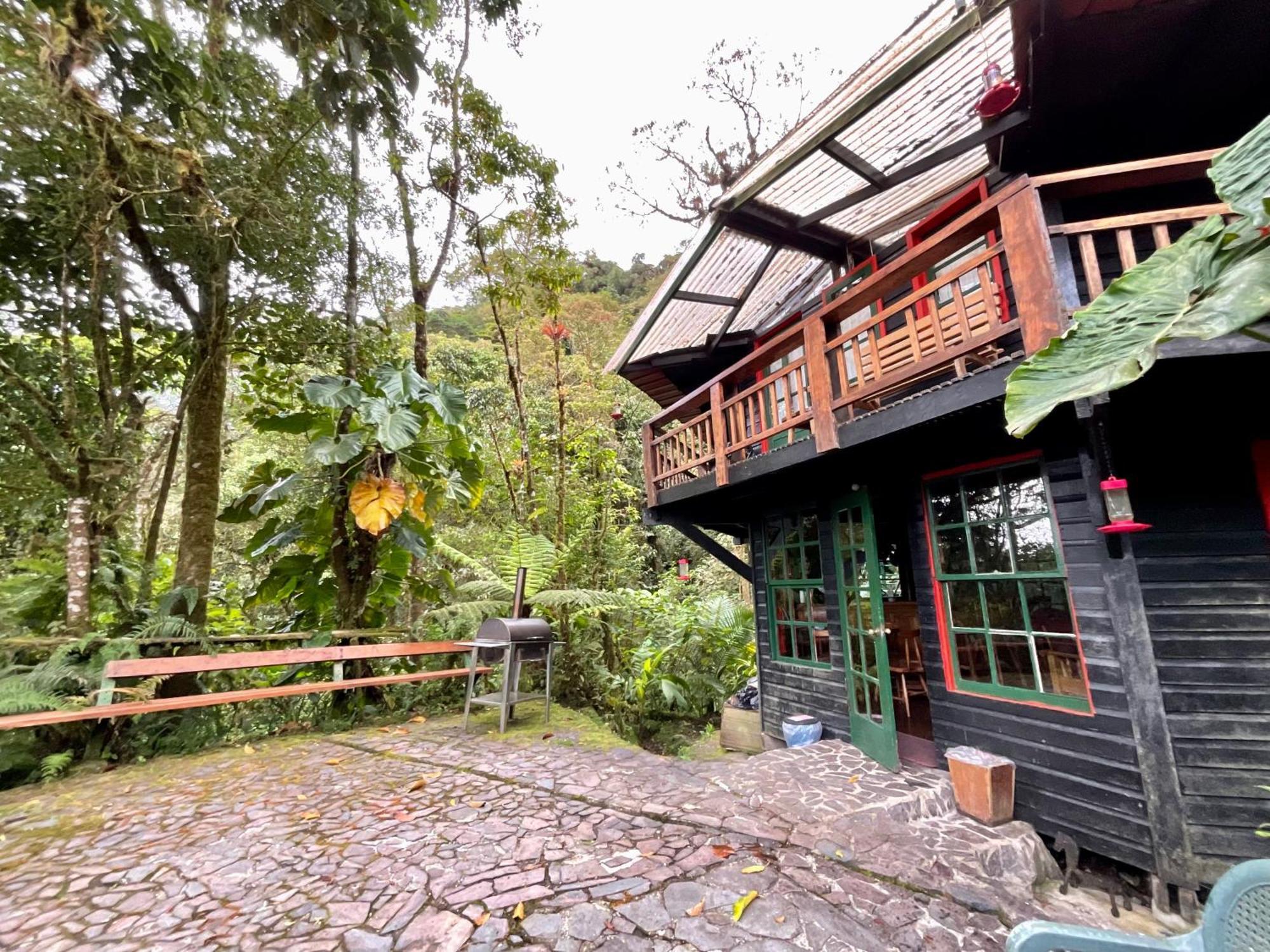 Los Quetzales Ecolodge & Spa Cerro Punta Eksteriør bilde