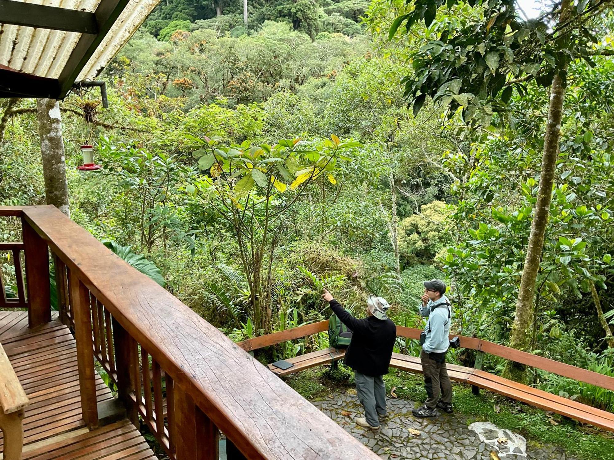 Los Quetzales Ecolodge & Spa Cerro Punta Eksteriør bilde