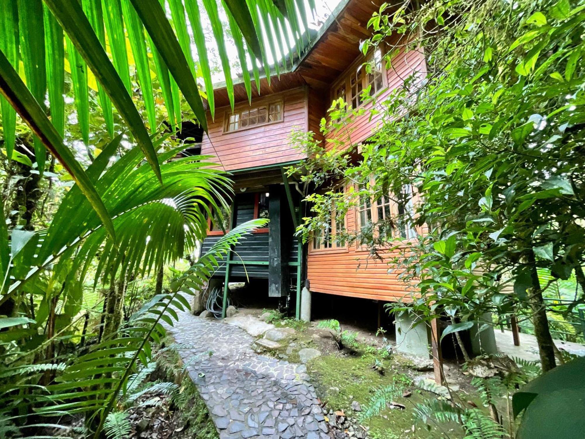 Los Quetzales Ecolodge & Spa Cerro Punta Eksteriør bilde