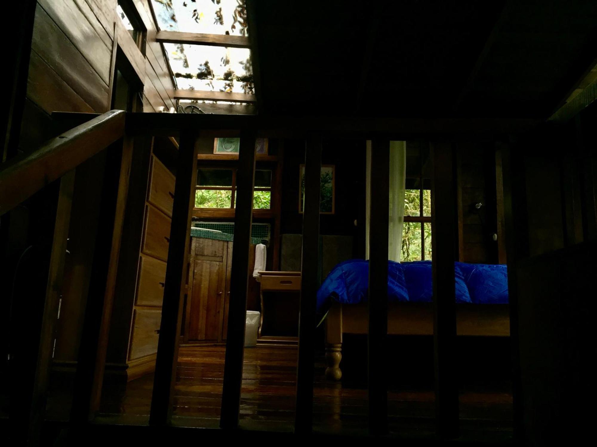 Los Quetzales Ecolodge & Spa Cerro Punta Eksteriør bilde