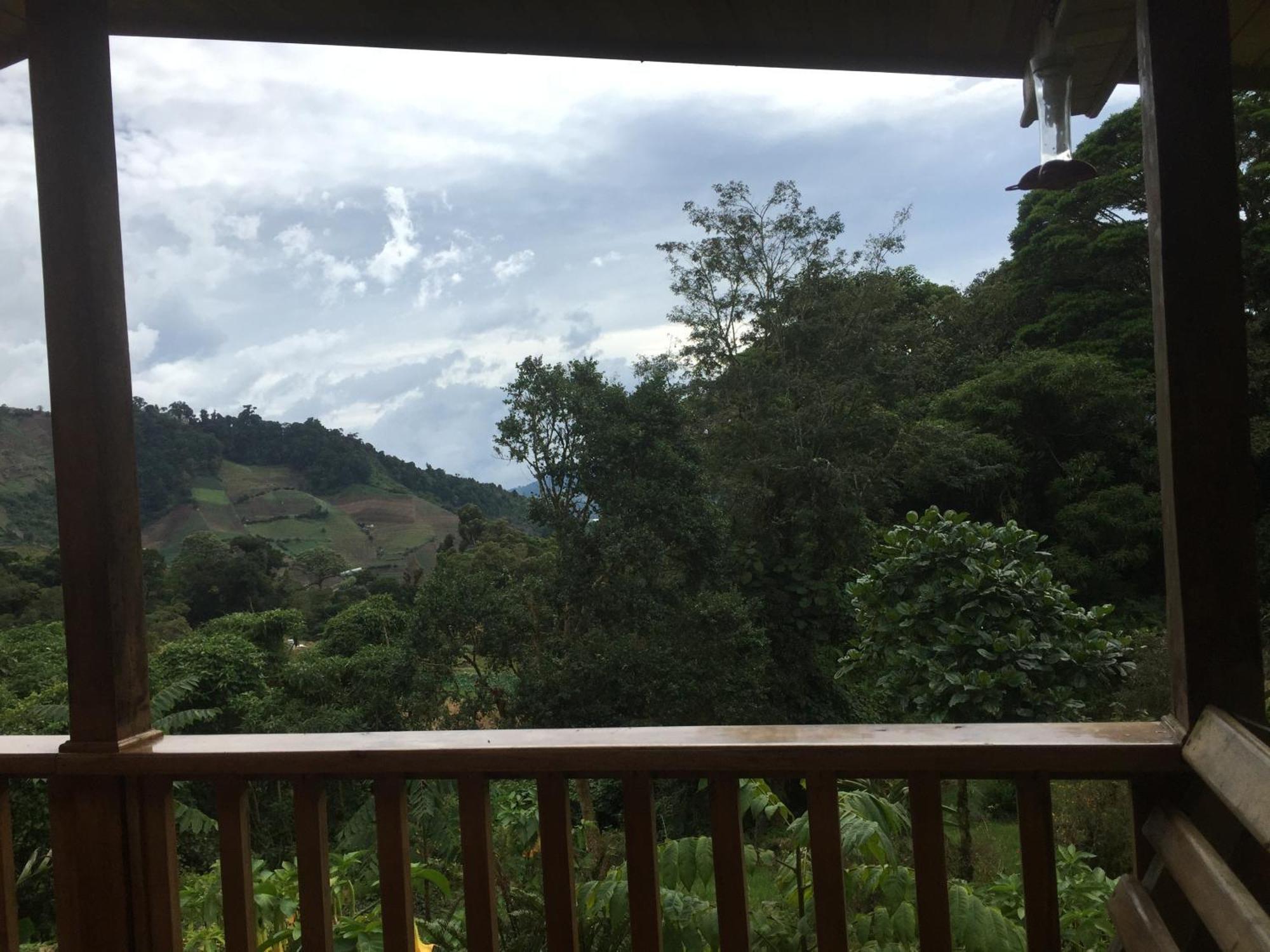 Los Quetzales Ecolodge & Spa Cerro Punta Eksteriør bilde