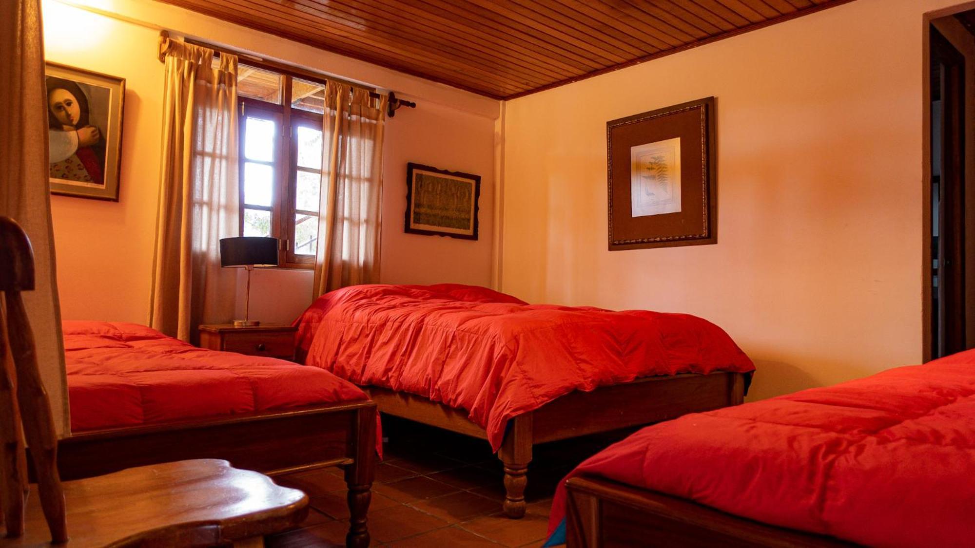 Los Quetzales Ecolodge & Spa Cerro Punta Eksteriør bilde