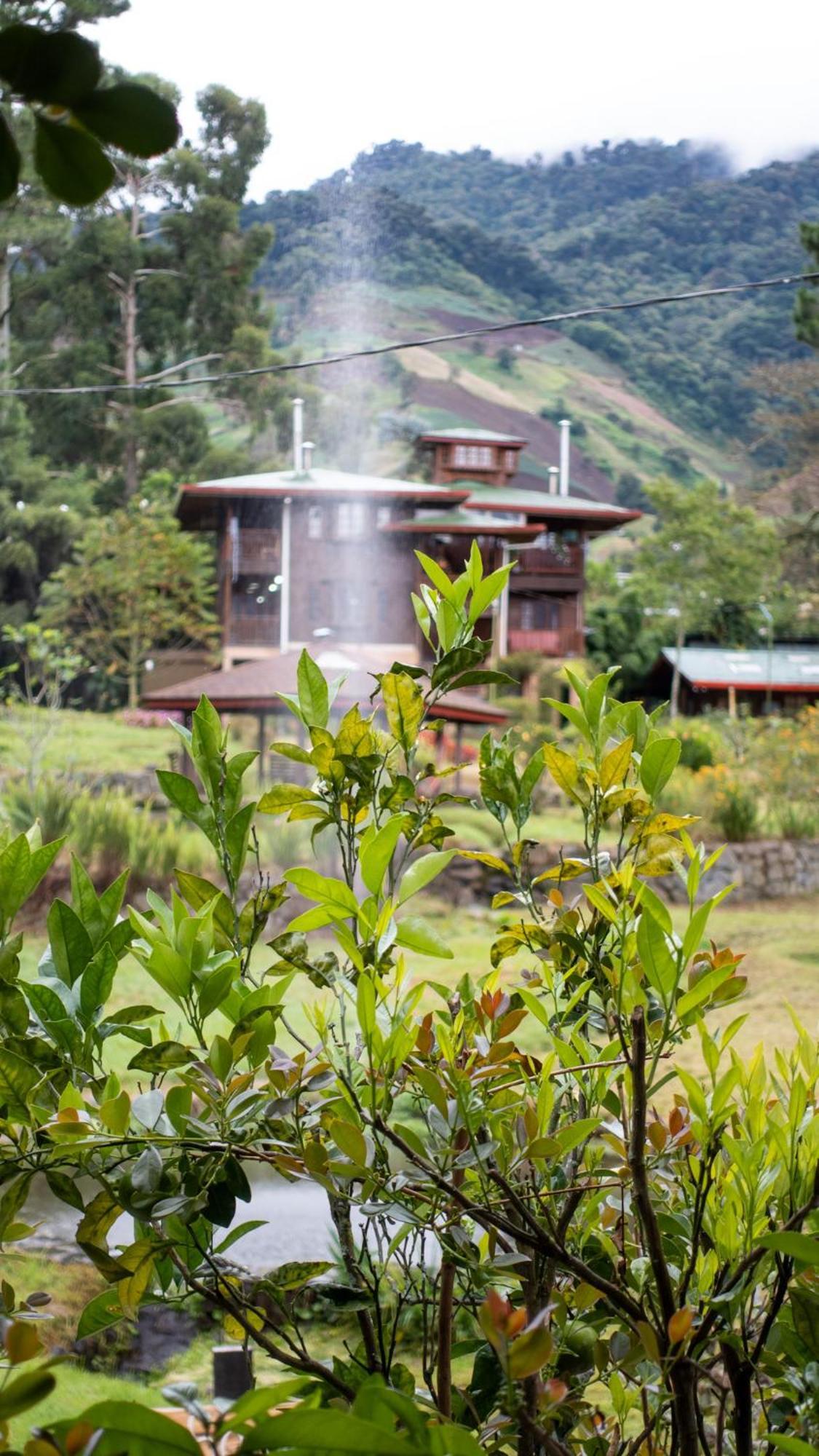 Los Quetzales Ecolodge & Spa Cerro Punta Eksteriør bilde