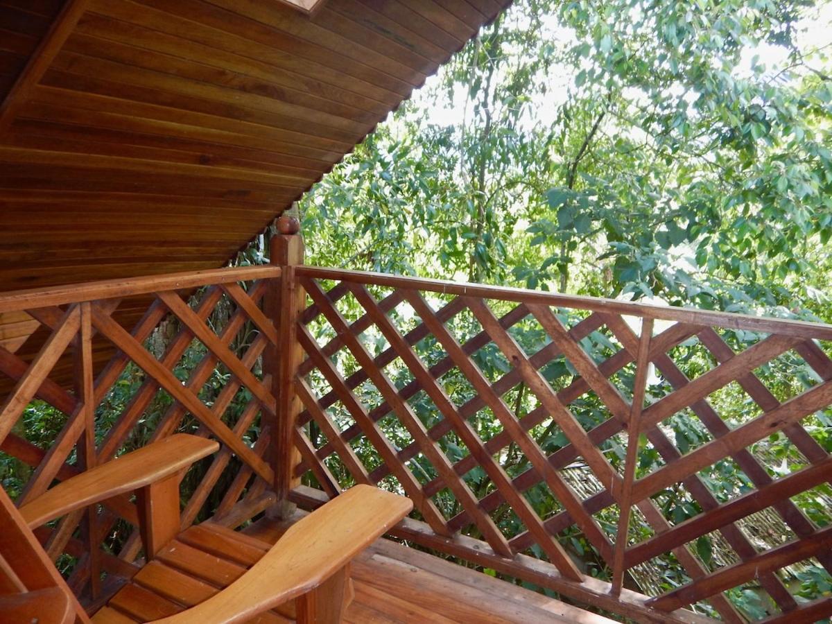Los Quetzales Ecolodge & Spa Cerro Punta Eksteriør bilde