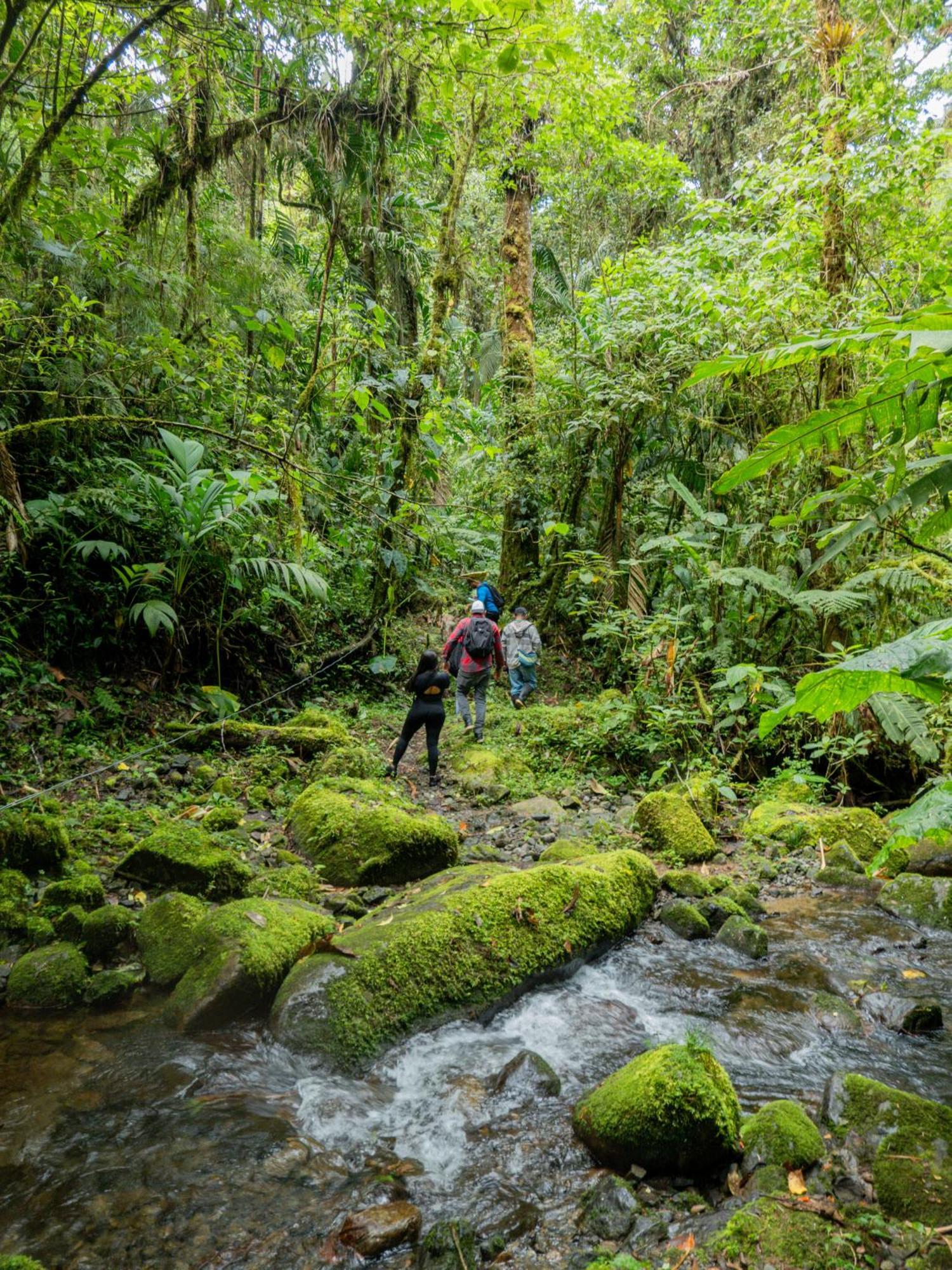 Los Quetzales Ecolodge & Spa Cerro Punta Eksteriør bilde
