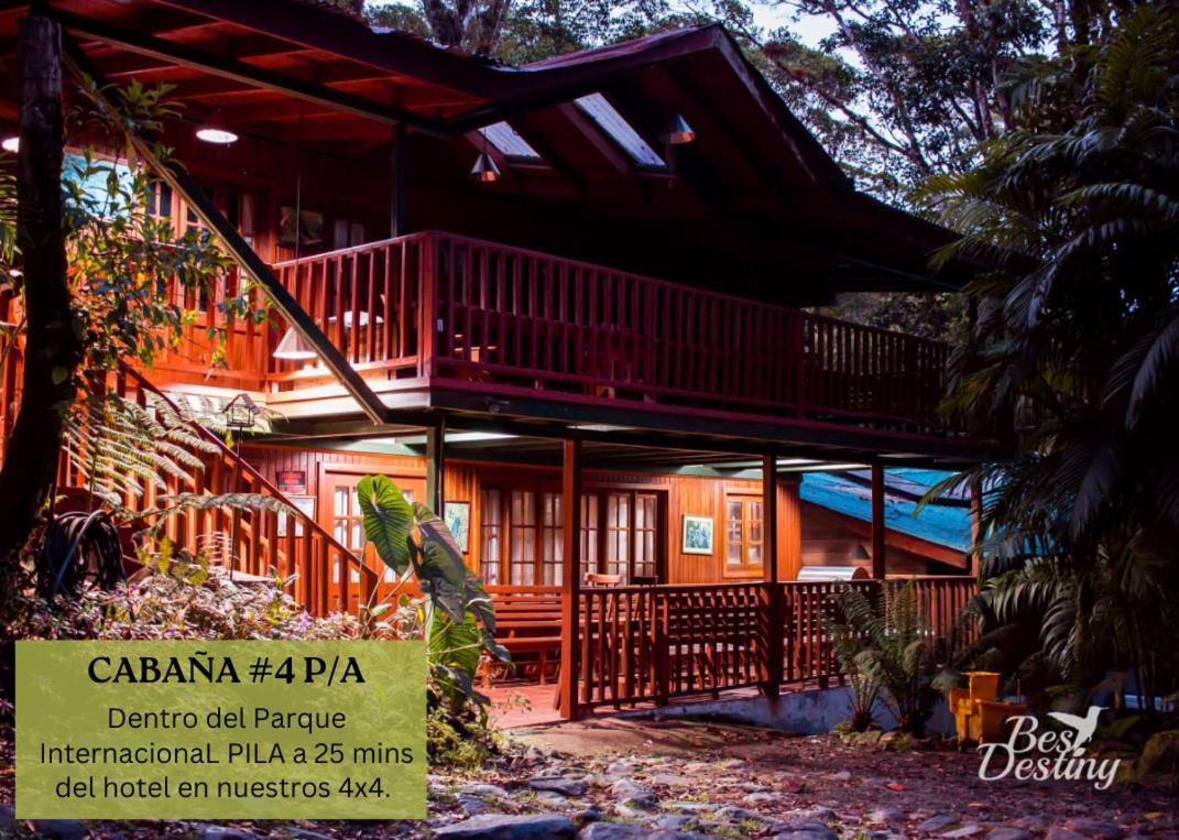 Los Quetzales Ecolodge & Spa Cerro Punta Eksteriør bilde